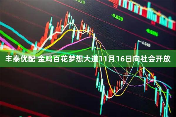 丰泰优配 金鸡百花梦想大道11月16日向社会开放