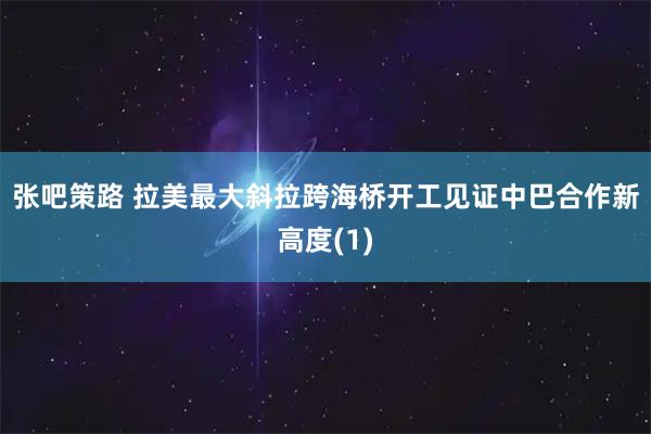 张吧策路 拉美最大斜拉跨海桥开工见证中巴合作新高度(1)